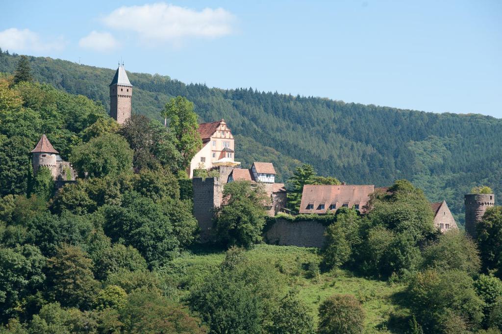Schlosshotel ฮิชฮอร์น ภายนอก รูปภาพ